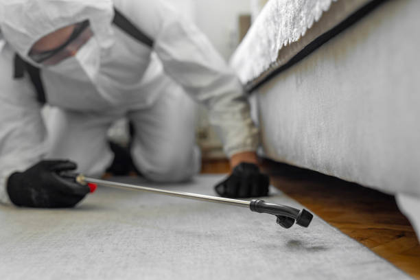 Professional Pest Control technician working in Saluda County County, SC